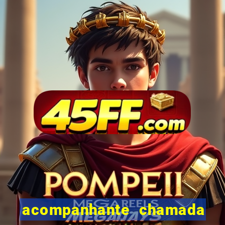 acompanhante chamada de video